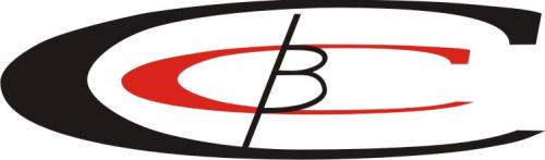 Логотип ВСС
